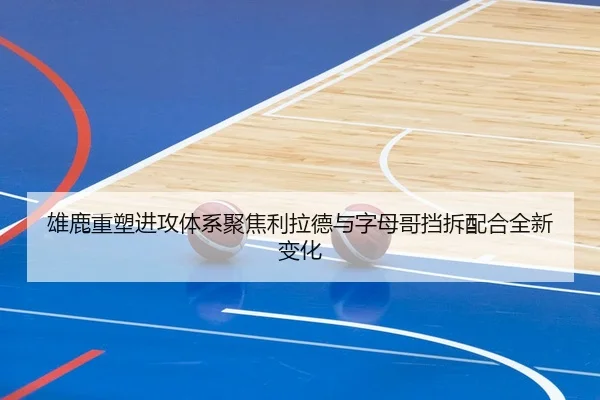 雄鹿重塑进攻体系聚焦利拉德与字母哥挡拆配合全新变化